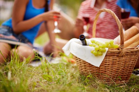 picknick zomer gezin