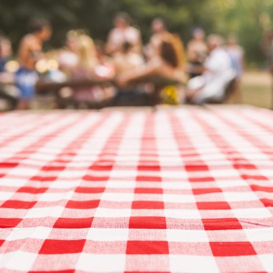 picknicklaken